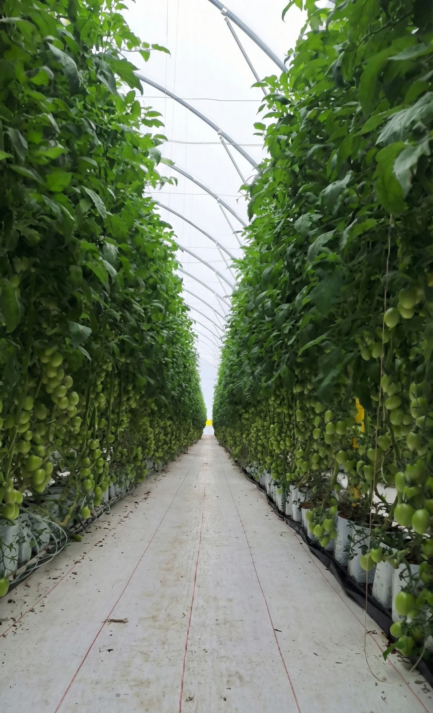 Inspección de calidad